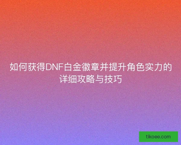 如何获得DNF白金徽章并提升角色实力的详细攻略与技巧