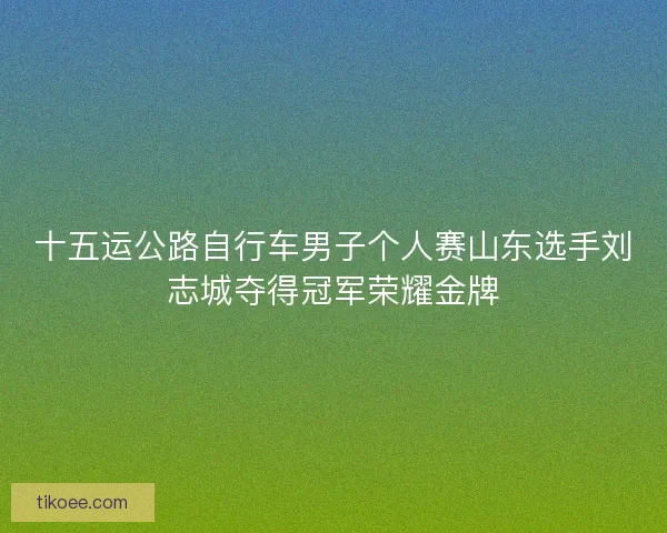 十五运公路自行车男子个人赛山东选手刘志城夺得冠军荣耀金牌