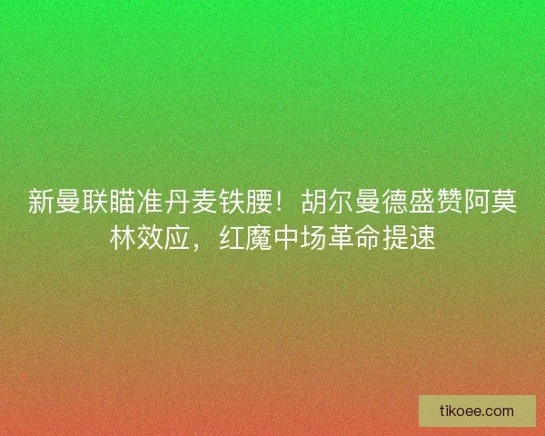 新曼联瞄准丹麦铁腰！胡尔曼德盛赞阿莫林效应，红魔中场革命提速